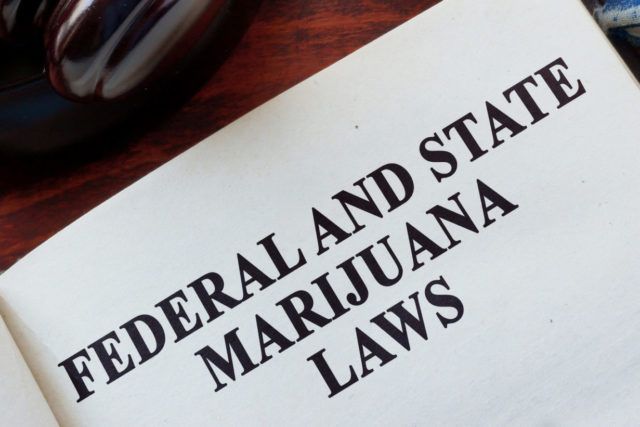 Michigan Ends Marijuana Pre-Employment Screening: What You Need to Know