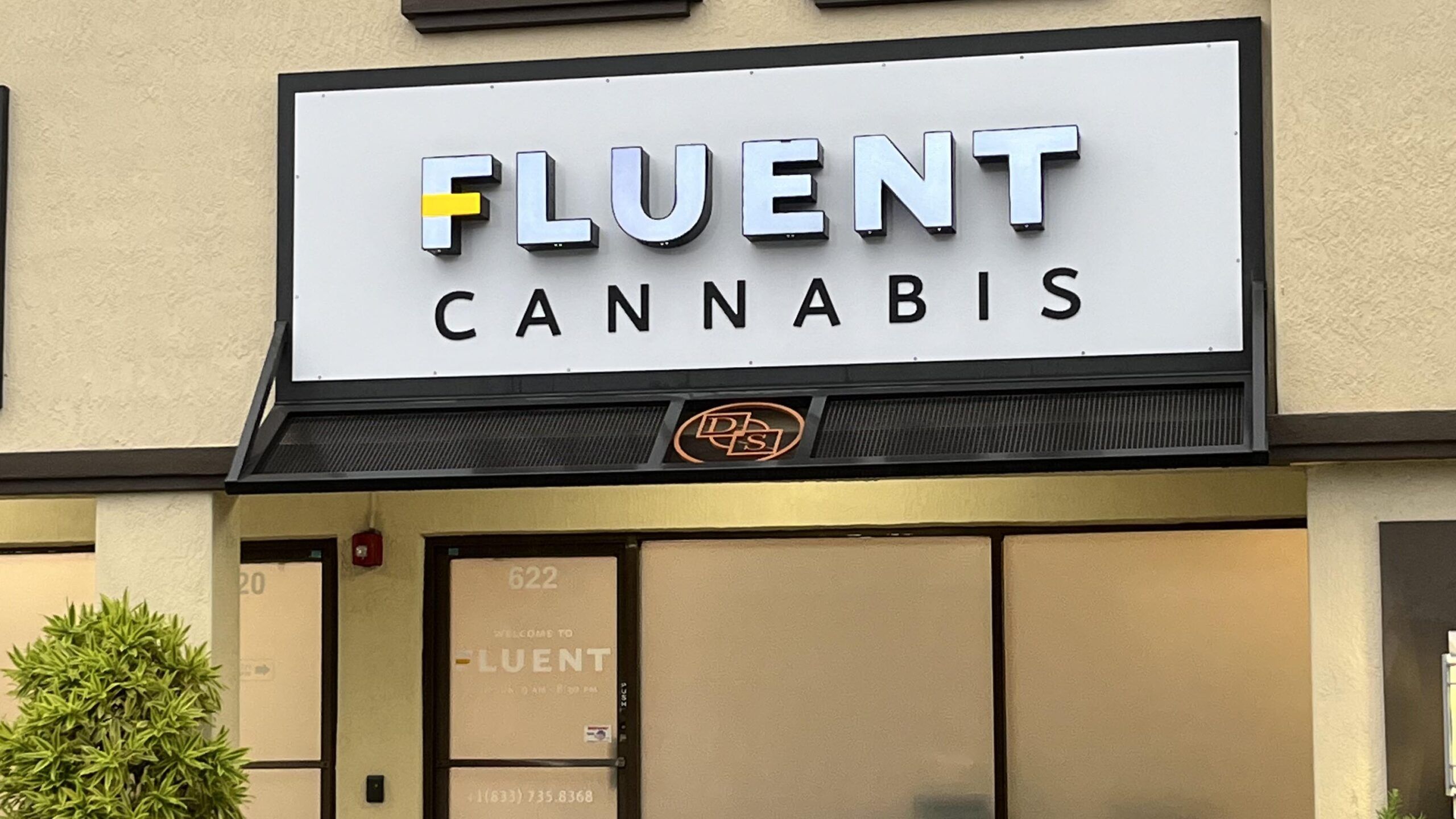 Cannabis Use Among Senior Citizens in Florida: A 2024 Overview